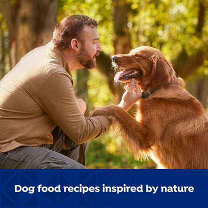 Nature's Recipe Grain Free Beef, Sweet Potato, and Pumpkin Recipe Wet Dog Food, 13 oz. Can, 12 Count