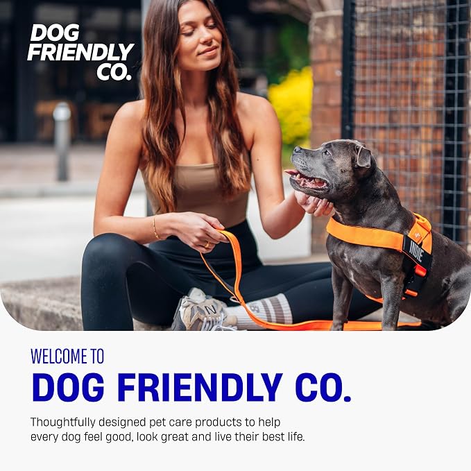 Dog Friendly Co. Dog Harness for Small Dogs (Classic Blue, Small) | One Click Buckle, Chafe Resistant Webbing, Adjustable Neck & Chest, and Heavy Duty D-Ring, Sturdy Comfortable and Easy to Use