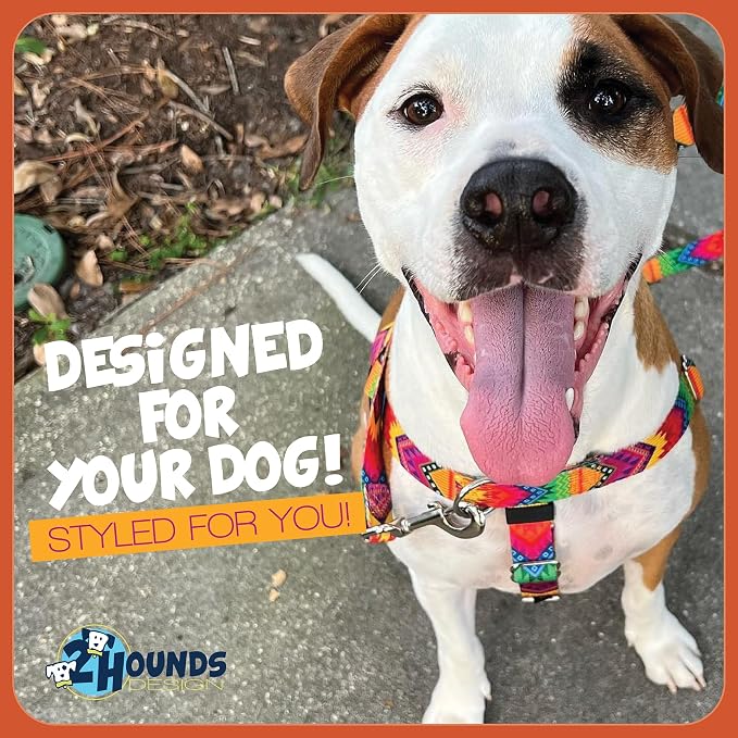 2 Hounds Design Freedom No Pull Dog Harness, Adjustable Harness and Leash Set, Easy Walking & Comfortable Control, Fits Small, Medium & Large Dogs, Solid Colors, Made in USA, 1" LG, Silver