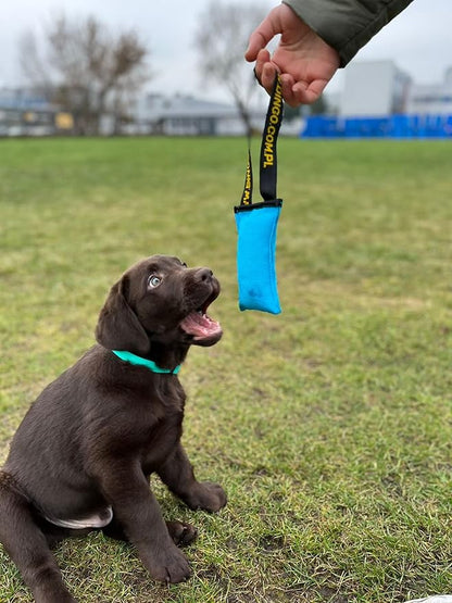 Dingo Dog Tug Toy with Handle, Dog Bite Pillow for Tug of War, Dog Bumper Floating on The Water, Colorfull Cotton, Size S, Z30001