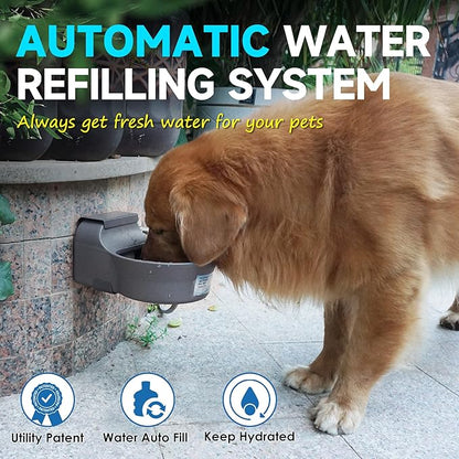 Automatic Dog Water Dispenser