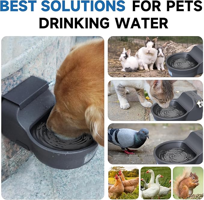 Automatic Dog Water Dispenser