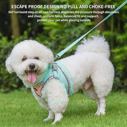 AIITLE XXS Dog Harness & Leash Set - Breathable Reflective No-Choke Small Dog Harness for Teacup Puppies, Indoor/Outdoor Use - Boston Terrier, Maltese, Chihuahua (Turquoise-Pink, XXS)