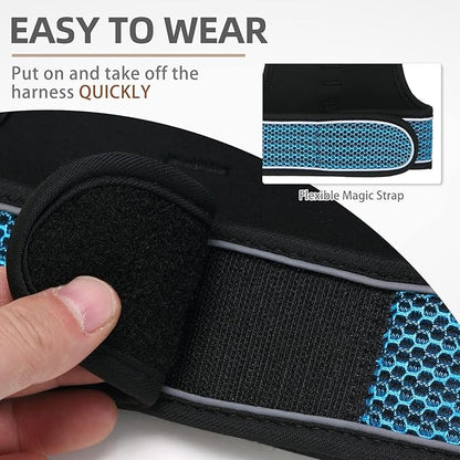 PUPTECK Soft Mesh Cat Vest Harness and Leash Set Puppy Padded Pet Harnesses Escape Proof for Cats Small Dogs (Large, Lake Blue)