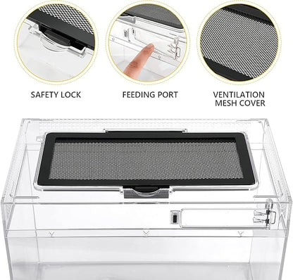 Reptile PC Terrarium Amphibian Tank Spider Enclosure Snake Cage 7x11.8x5.9inch Suitable for breeding Leopard Gecko,Frog,Hermit Crab,Lizards,Isopod,Tarantula,Turtles,Chameleons,Jumping Spiders
