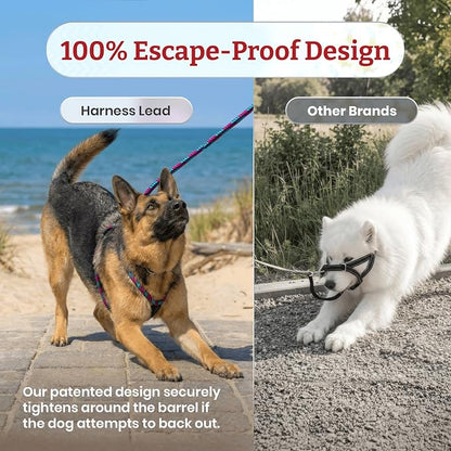 Harness Lead No Pull Dog Harness and Leash Set, Anti Pull Dog Harness, One-Piece Cushioned Rope Safely Prevents Escaping and Pulling (Medium/Large, Purple/Turquoise)