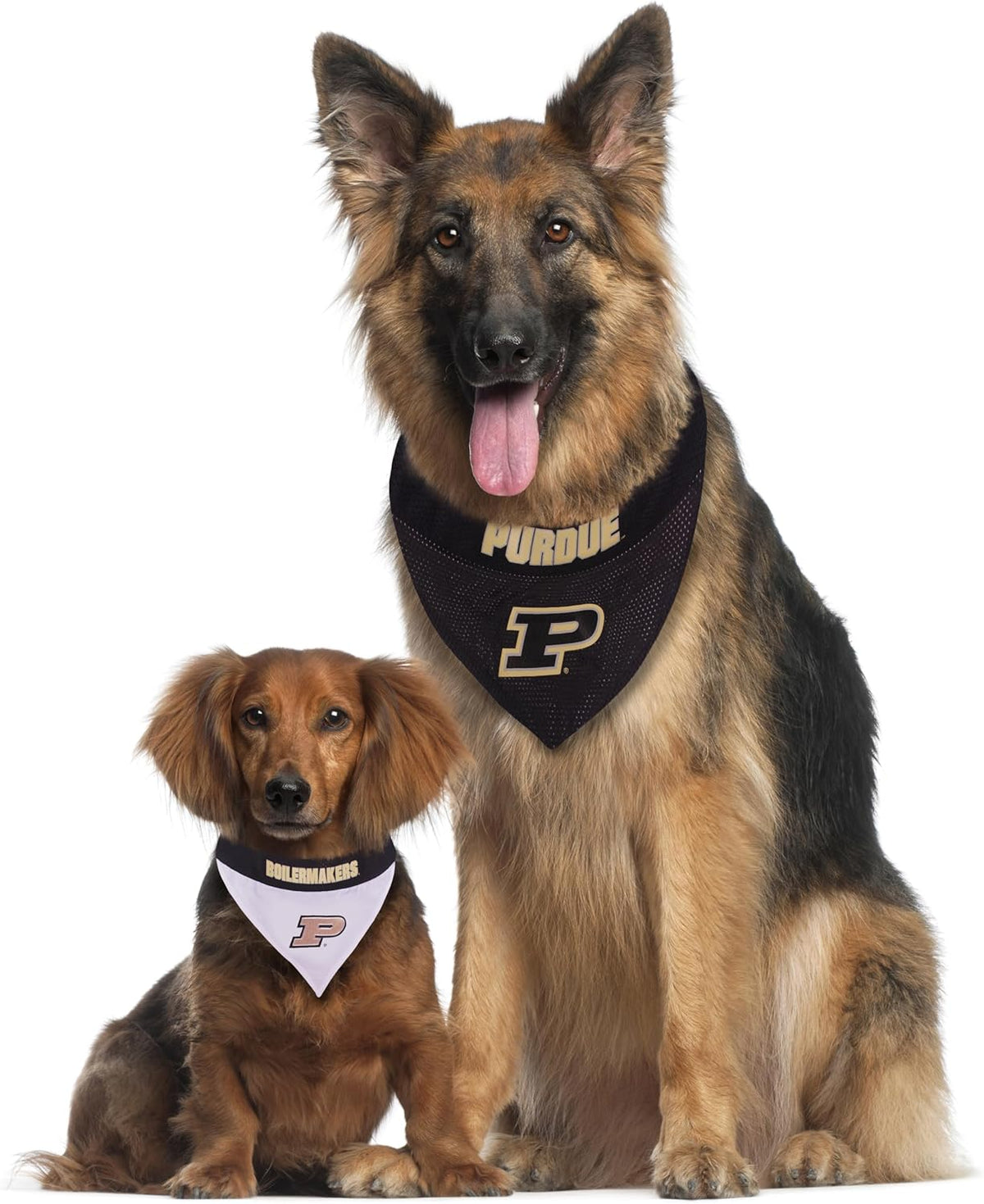 Pets First Collegiate Pet Accessories, Reversible Bandana, Purdue Boilermakers Size XX-Large
