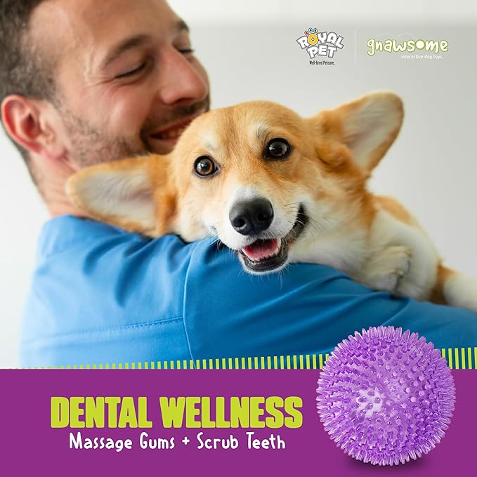 Gnawsome™ 4.5” Spiky Squeaker Ball Dog Toy - Extra Large, Cleans Teeth and Promotes Good Dental and Gum Health for Your Pet, Colors will vary, 4.5"