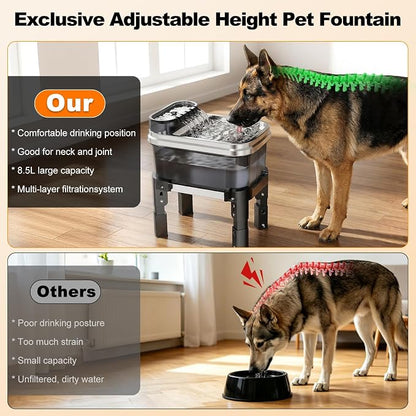 RPZ 9L Elevated Stainless Steel Dog Water Fountain with Filter | 4-level adjustable indoor pet water fountain with quiet pump and no-spill design for small, medium, and large dogs