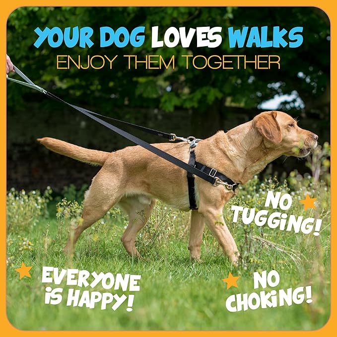 2 Hounds Design Freedom No Pull Dog Harness, Adjustable Harness and Leash Set, Easy Walking & Comfortable Control, Fits Small, Medium & Large Dogs, Solid Colors, Made in USA, 1" XXL, Tan