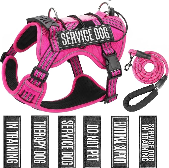 Service Dog Tactical Vest Harness and Leash Set Large Sized Dog Emotional Support- Tactical Dog Harness Training Collar with Name (Rose Red, S)