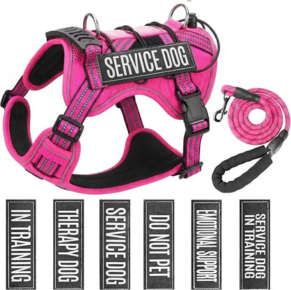 Service Dog Tactical Vest Harness and Leash Set Large Sized Dog Emotional Support- Tactical Dog Harness Training Collar with Name (Rose Red, S)
