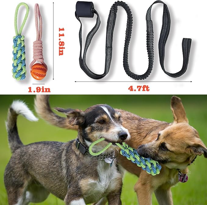 Interactive Dog Toys Tug of War Dog Toy for Small/Medium/Large Dogs,Teething Rope for Teeth Cleaning,Puzzle Ball for Chewing,Dog Bungee Tug Toy Kit, Blue