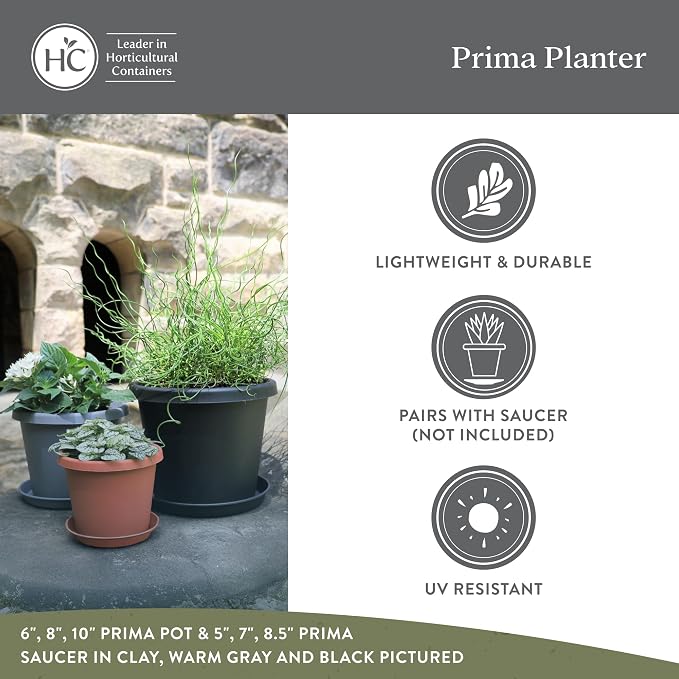 The HC Companies 12 Inch Prima Round Planter Pots with Drainage Holes and Rolled Rim, Lightweight UV-Resistant Plastic Indoor & Outdoor Planters, 2-Pack Flower Pots for Garden & Home Decor, Cappuccino