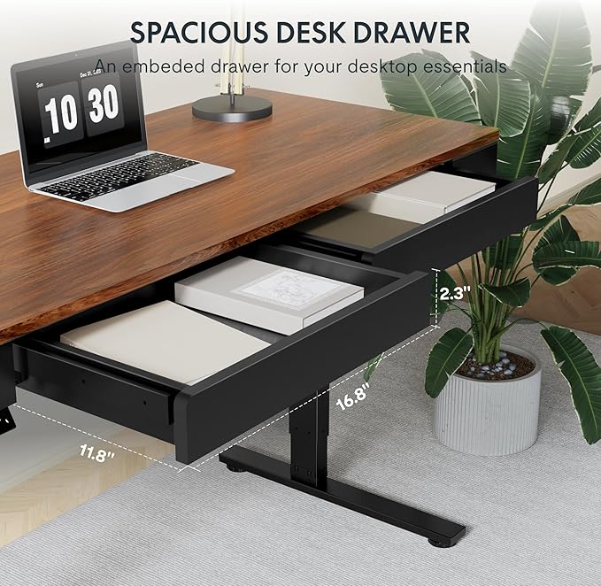 FLEXISPOT Q5 Standing Desk