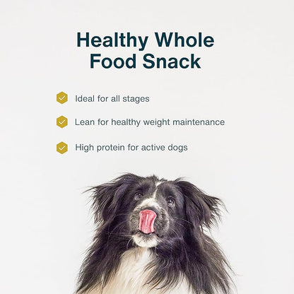 JustFoodForDogs Healthy Dog Treats, Limited-Ingredient, Chicken Apple Bark, Made in The USA, 5 oz