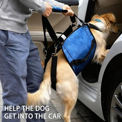 Adjustable Dog Lift Harness, Dog Carry Sling Provides Rear Leg Support for Senior Dogs, Arthritis and After ACL Surgery Dogs,Suitable for Medium to Large Dogs,Blue XL