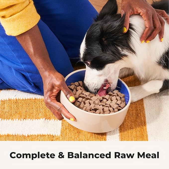 Bow Wow Beef - Freeze Dried Raw Dog Food, Complete Meal, Beef Liver and Kidney Bites for Training, Meal Topper, High Protein, 21g Per Cup, Made in The USA, 8oz Bag