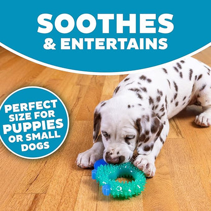 Outward Hound Cutie Chewies Hedgehog Dental Dog Chew Toy, Blue