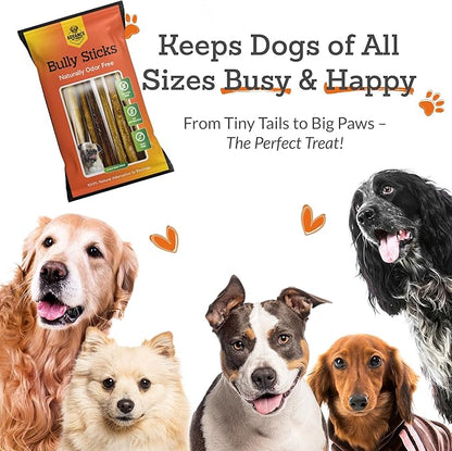 Advance Pet Products 6 Inch Bully Sticks (Pack of 10) - 100% Beef, Odor Free Dog Chews for Aggressive Chewers - Long Lasting, Gluten-Free, Easy to Digest, High Protein & Rawhide Free Chews for Dogs