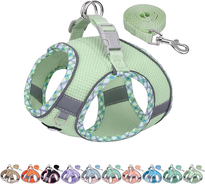 AIITLE Tiny Dog Harness - Lightweight Mesh Step-in Vest for Puppy, Reflective & Escape-Proof Design with High-Stick Magic Tape - Indoor/Outdoor Use for Chihuahua, Maltese, Shih Tzu(Sage, XXXS)