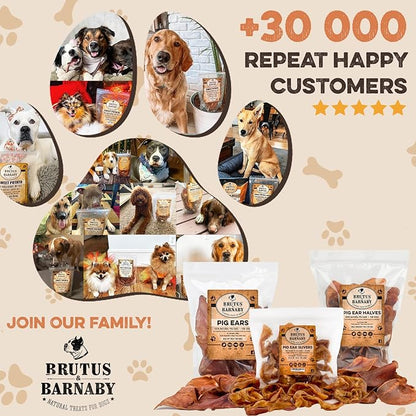 BRUTUS & BARNABY Pig Ear Halves for Dogs, 15 Ct. – All-Natural Single Ingredient Dog Chews, Slow Cooked & Fully Digestible Rawhide Alternative