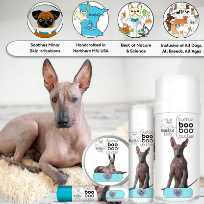 The Blissful Dog Xoloitzcuintli Boo Boo Butter, 1-Ounce