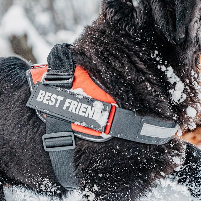Personalized Dog Harness with Custom Name Patches, Adjustable Reflective No Choke Dog Vest with Handle for Extra Large Dog, Light Blue, XL