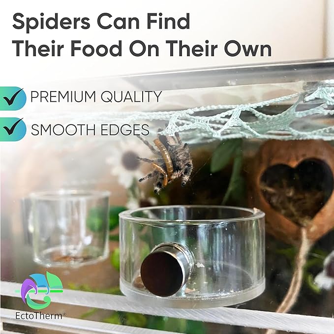 EctoTherm Jumping Spider Feeding Dish and Food Dish - Terrarium Decor, Magnetic Feeding Ledge - Essential Accessories for Pet Jumpers