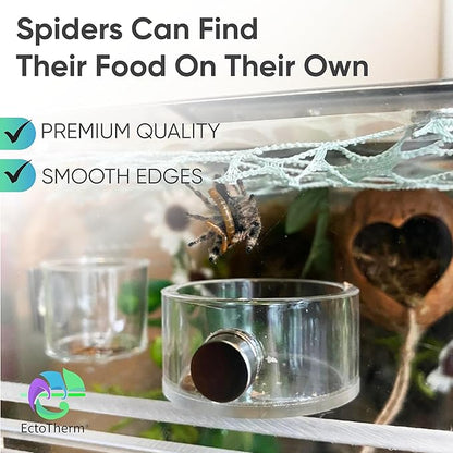 EctoTherm Jumping Spider Feeding Dish and Food Dish - Terrarium Decor, Magnetic Feeding Ledge - Essential Accessories for Pet Jumpers