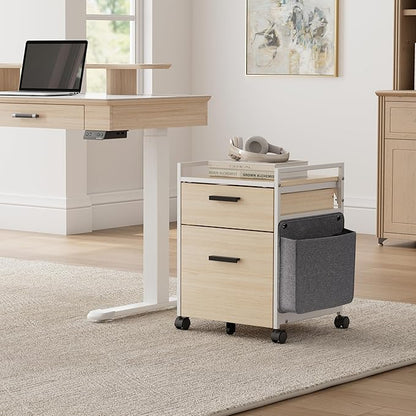 EUREKA ERGONOMIC 2-Drawer Mobile File Cabinet