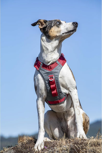 Kurgo Journey Air Dog Harness, Red, Large | Padded Chest, Ripstop Outer & Breathable Mesh, Back Assist Handle, Rust-Free Aluminum Hardware, Reflective Trim