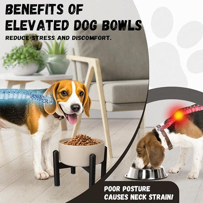 Raised Ceramic Dog Bowl Set with Stand, 2 Cups Elevated Dog Food Stand | 6.1'' Single Dog Food or Water Bowl Set, Non-Slip Dog Feeding Dishes for Small to Medium Breeds, 28.75 OZ, Grey