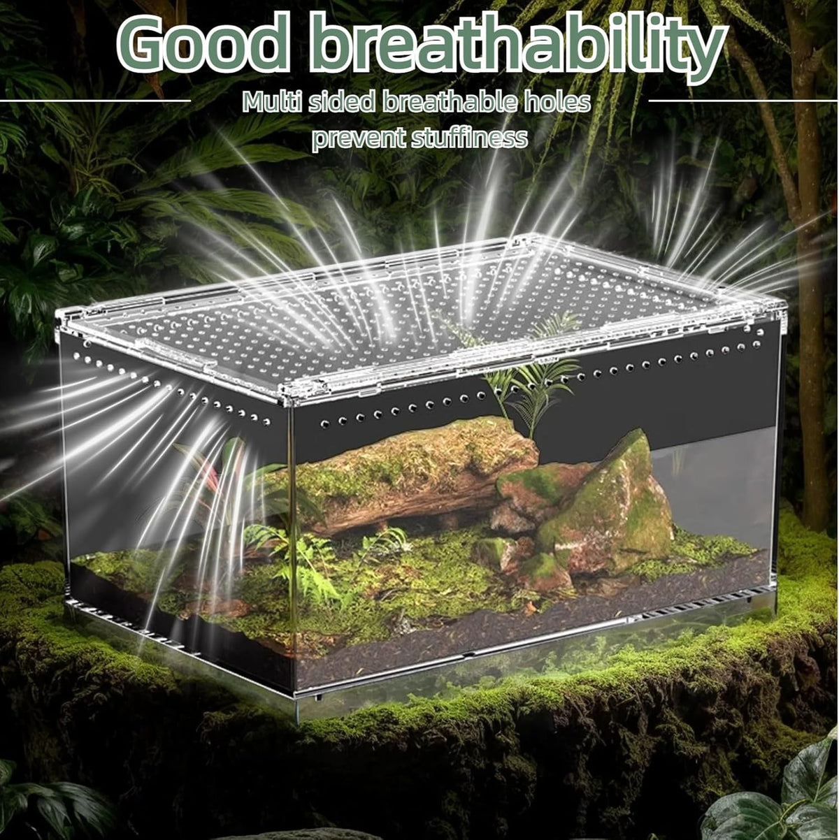 PC Reptile Terrarium, Leopard Gecko Tank, Jumping Spider Enclosure, Lizard Enclosure, Suitable for Gecko, Hermit Crab, Tree Frog, Tarantula, Praying Mantis Habitat Tank Starter (Large)