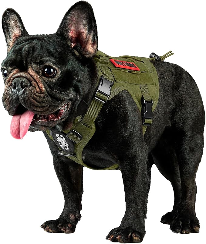 OneTigris Tactical Dog Harness Vest,No-Pull Service Dog Vest with Hook & Loop Panels,Adjustable Dog Vest Harness for Walking Hiking Training(Ranger Green,XS)