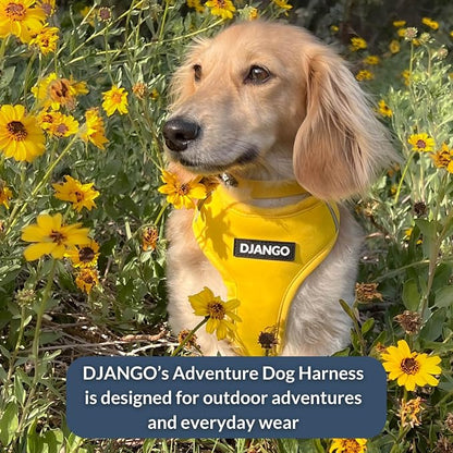 Adventure Dog Harness - Stylish Small Dog Harness for Outdoor Adventures and Everyday Wear - Dandelion Yellow Neoprene Adjustable Harness for Dogs with Reflective Piping and Solid Brass D-Ring