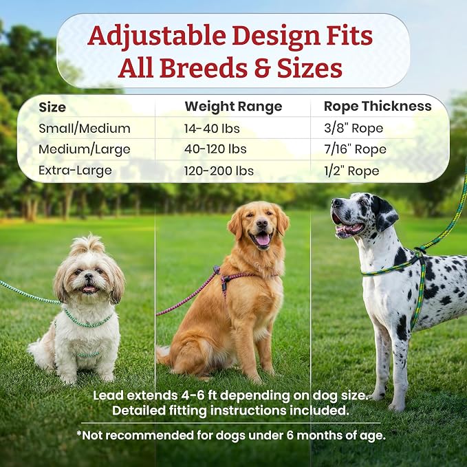 Harness Lead No Pull Dog Harness and Leash Set, Anti Pull Dog Harness, One-Piece Cushioned Rope Safely Prevents Escaping and Pulling (Medium/Large, Purple/Turquoise)
