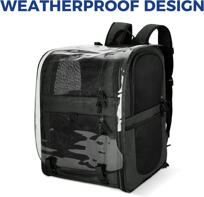 Apollo Walker Pet Carrier Backpack for Large/Small Cats and Dogs, Puppies, Safety Features and Cushion Back Support for Travel, Hiking, Outdoor Use (Black-Expandable)