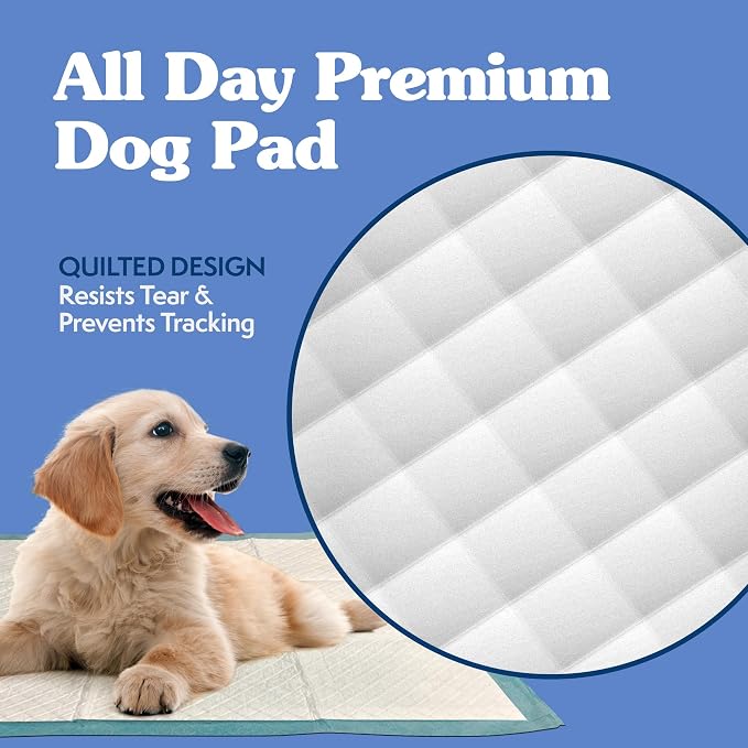 Simple Solution XL Potty Training Pads, Leak Proof Pads, 28"x30" 200 Count | Dog Training Pads, Puppy Potty Training, Housebreaking, Disposable Pee Pads, Floor Protection, Indoor Potty, Puppy Essentials