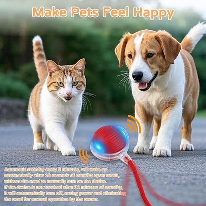 2025 New 3Pack Cat Ball Kitten Toys for Indoor Interactive Kitty Ball Toy Speedy Tail 360° Automatic Rolling(Red Grey Green)