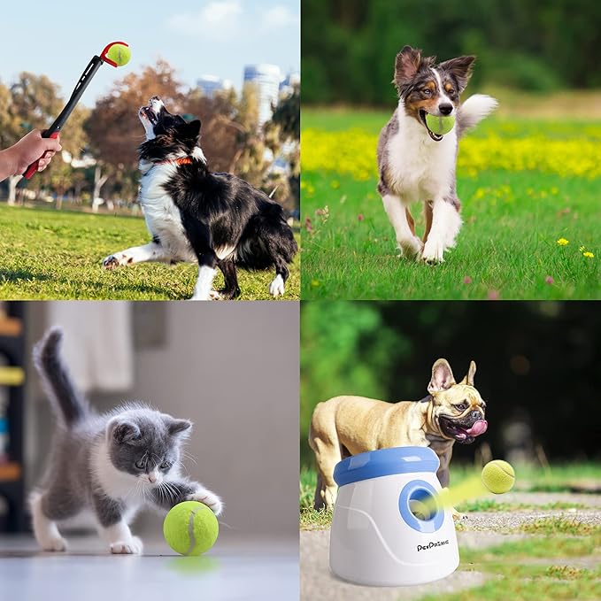 Pet Prime Dog Toy Tennis Ball 6 Pcak 2 Inch for Automatic Ball Lanucher Interactive Pet Balls for Exercise Training Play Fetch for Small to Meidum Breed