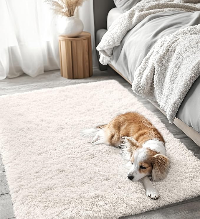 OLANLY 3x5 Machine Washable Small Bedside Rug, Soft Fluffy Shaggy Rugs for Living Room, Bedroom, Indoor Floor Carpet for Kids Girls and Boys, Preppy Dorms, Nursery, Home Decor Aesthetic, Ivory