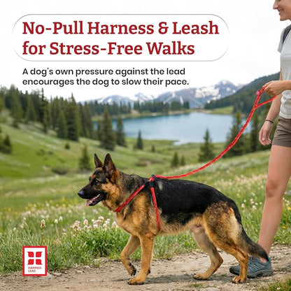 Harness Lead No Pull Dog Harness and Leash Set, Anti Pull Dog Harness, One-Piece Cushioned Rope Safely Prevents Escaping and Pulling (Medium/Large, Peacock/Blue/Lime)
