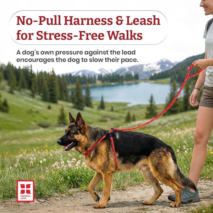 Harness Lead No Pull Dog Harness and Leash Set, Anti Pull Dog Harness, One-Piece Cushioned Rope Safely Prevents Escaping and Pulling (Extra Large, Red)