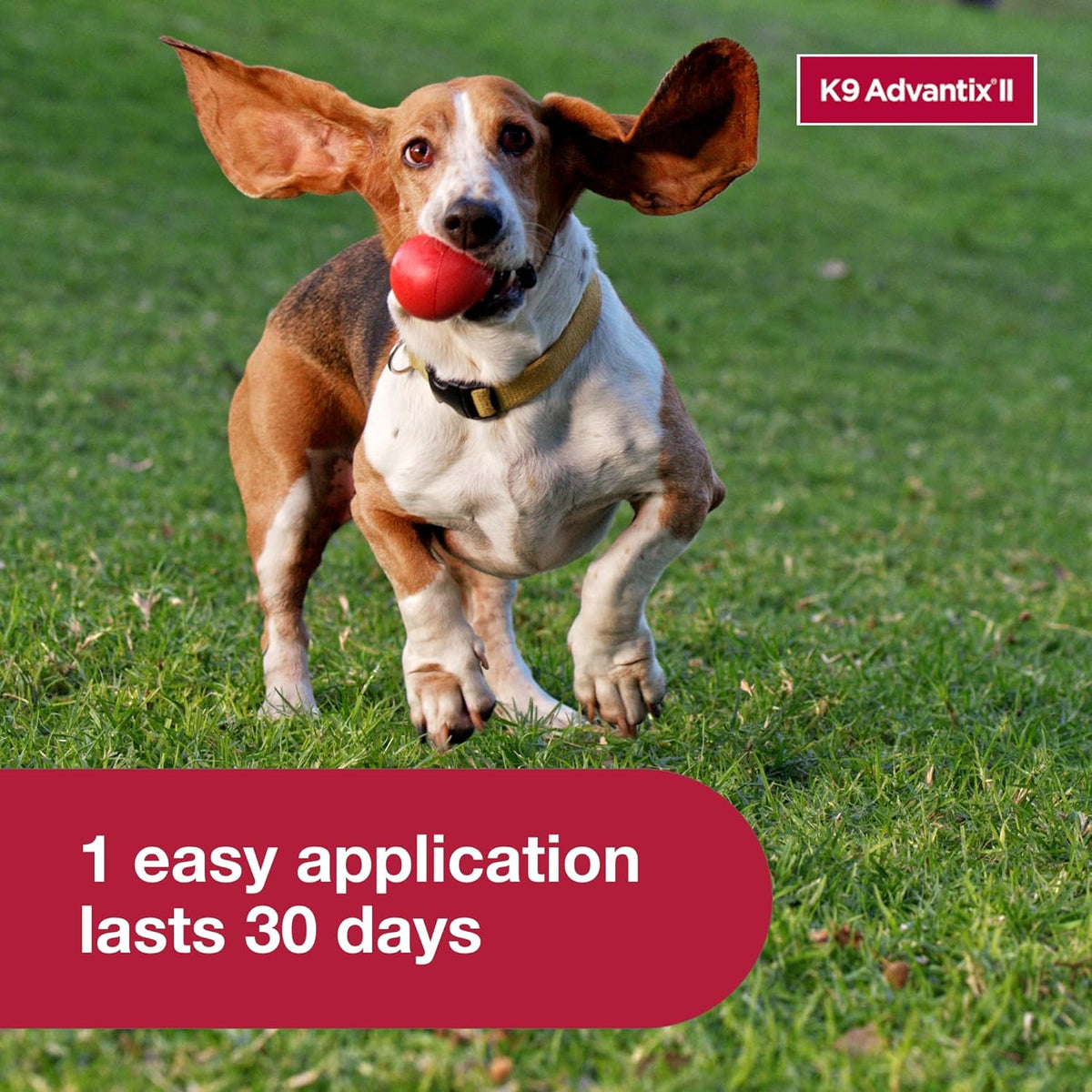 K9 Advantix II Small Dog Vet-Recommended Flea, Tick & Mosquito Treatment & Prevention | Dogs 4-10 lbs. | 4-Mo Supply