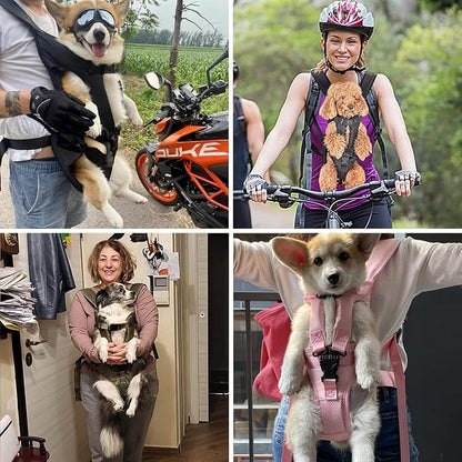 PetBonus Dog Front Carrier Backpacks, Legs Out Easy-fit Puppy Chest Carrier | Hands Free, Adjustable, Safety Strap, Walking Hiking Cycling Motorcycle bag, For Small Medium Dogs (Purple, XL)