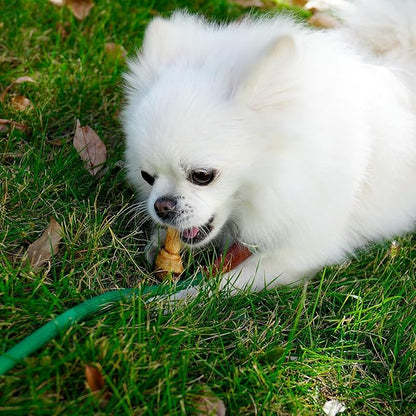 MON2SUN Dog Rawhide Knot Bones Small Rawhide Bones Mini Chews Chicken Flavour 2.5 Inch 60 Count for Puppy and Small Dogs