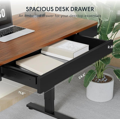 FLEXISPOT Q5 Standing Desk