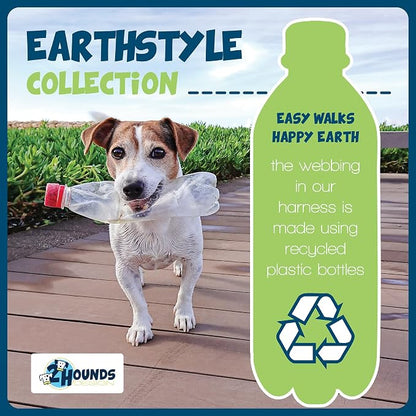 2 Hounds Design Freedom No Pull Dog Harness, Harness ONLY, Royal Blue, Medium (1" Wide)