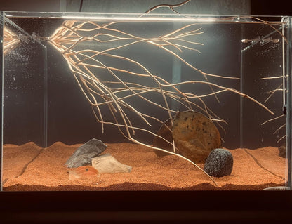 11lb Natural South American Rainforest Sand, Aquarium red Sand, Lava Rock Soil, Red Lava Rock Sand, Succulent Sand Fish Tank Sand Aquarium Substrate Sand